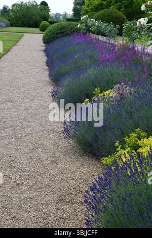 Lavender border by a gravel path Stock Photo