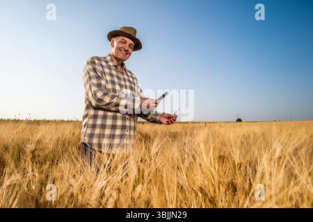 Senior man is standing in his growing wheat field. Farmer is examining crops. He is using smartphone. Stock Photo