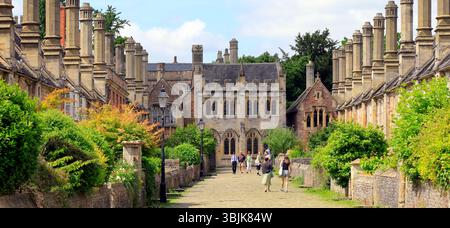 The Vicar's Close with the Vicars' Chapel and Library at the far end, Wells, Somerset, England, UK. June 2025. Summer Stock Photo