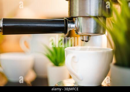coffee espresso maker home kitchen green plants interior Stock Photo