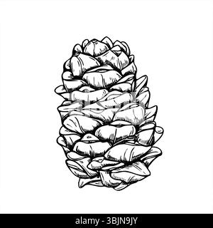 Pinecone or cedar cone monochrome vector illustration painted by black inks. Etching drawing of Christmas decoration symbol for nature designs Stock Vector
