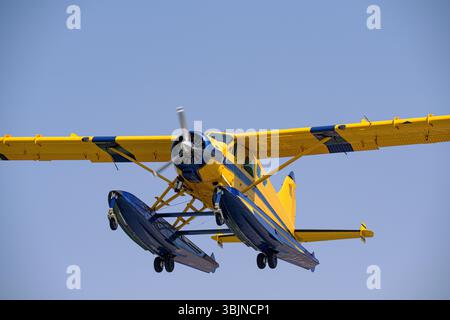 Yellow and blue floatplane in flight against a clear blue sky. Bush plane flying over wilderness, adventure travel. Stock Photo