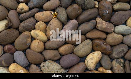 Brown garden stones Stock Photo