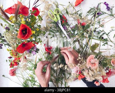 Florist composing a colorful and delicate floral arrangement with wildflowers and dried flowers on a white table Stock Photo
