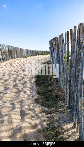 A winding sandy path bordered by weathered wooden fences leads toward the beach on a sunny day. Stock Photo