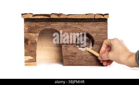Hamster peeking out of its wooden house, enjoying a treat offered by a human hand Stock Photo