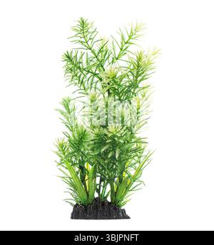 Studio shot of a green plastic aquarium plant growing on a rock decoration against a white background Stock Photo