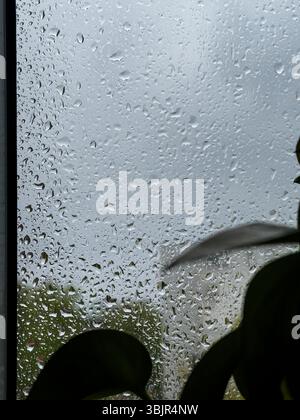 Raindrops on glass with greenery in the foreground during a cloudy day in an urban setting Stock Photo