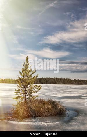Signs of spring for Earth watchers, Earth observers. Snow on the ice lakes saturated with water and blue. Forest lake in Lapland and the sun's rays. I Stock Photo