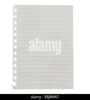 Torn-out lined notebook page with visible binder holes on left edge, isolated on transparent background. Empty note paper mockup. Writing, notes Stock Photo