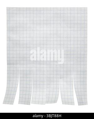Blank tear off paper advertisement on squared paper with copy space, isolated on white background Stock Photo