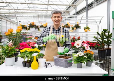 Gardener with Flowers in Greenhouse Stock Photo