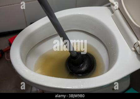 A woman's hand is using an air pump to solve a clogged toilet. Stock Photo