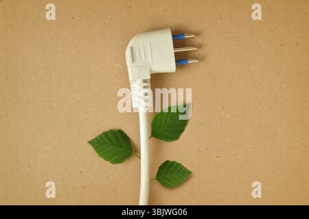 Electrical plug with leaves on recycled paper background - Concept of electricity and ecology Stock Photo