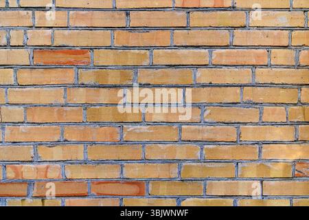 Uniform Yellow Brick Wall Background. A clean and uniform yellow brick wall with evenly spaced mortar joints, providing a bright and consistent Stock Photo