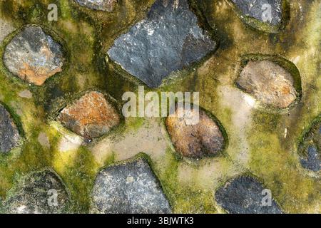 Rock wall with moss growing on it. The moss is green and the rocks are brown. The wall is made of stone and has a rough texture Stock Photo