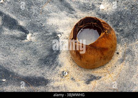 Large, brown, hollowed out coconut shell sits on a sandy beach. The shell is empty and he is weathered and worn. Concept of nostalgia and a connection Stock Photo