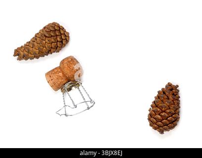 Fir cones and champagne wine cork with muselet Stock Photo