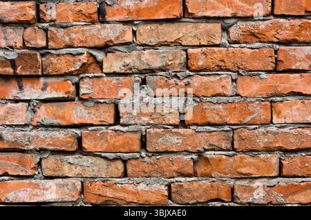 Abandoned brick wall Stock Photo