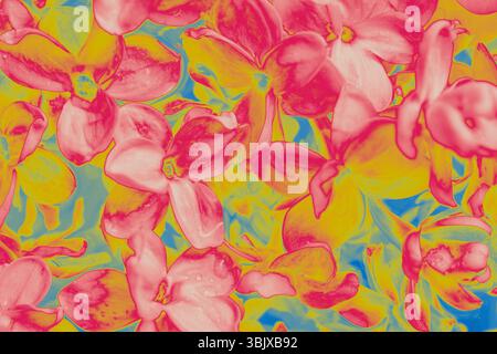 Bright pink, yellow, and blue digitally processed orchid-like flowers form an abstract floral pattern with vivid pop-art tones. Stock Photo