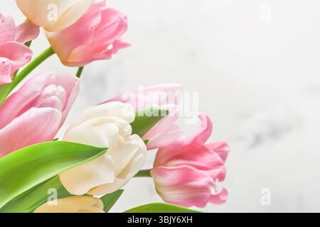 Pink and white tulips on white background. Floral pattern. Greeting card. Mock up. Space for text. Stock Photo