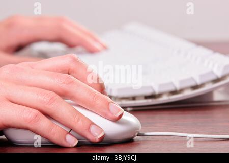 Hands of a woman using mouse and keyboard Stock Photo