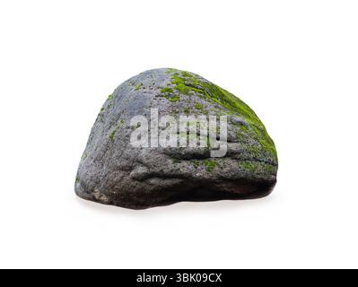 moss growing on stone isolated on white background Stock Photo