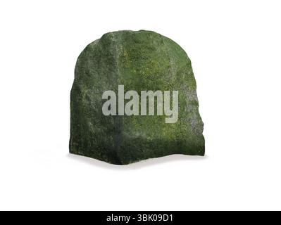 sea stone overgrown with sea algae isolated on white background Stock Photo