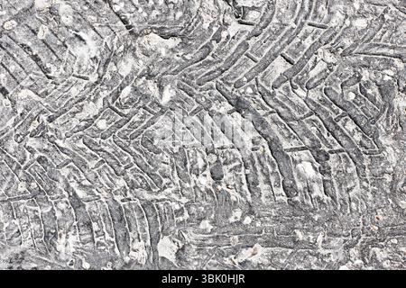 Melted asphalt with visible tire marks. Urban street texture background. Heatwave damage pattern. Road surface with rough cracks. Hot summer pavement. Stock Photo