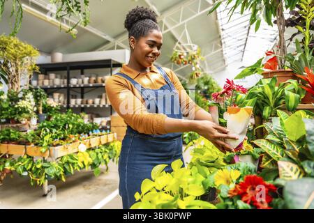 Smiling young woman working in a plant shop arranging potted flowers and houseplants on display Stock Photo