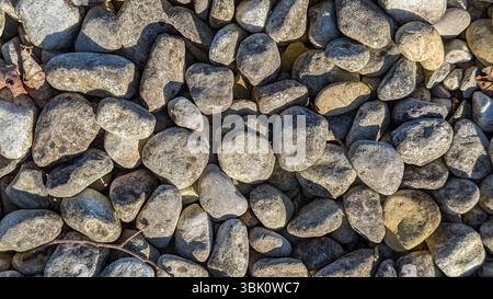 A detailed top-down image of sunlit river stones, showcasing natural texture, shapes, and earthy tones. Stock Photo