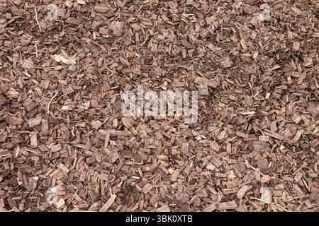 Wood chips, close-up, background texture Stock Photo