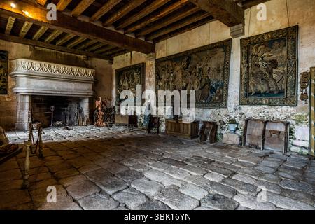 Large hall with several fireplaces and Aubusson tapestries in the Château de Boussac in Creuse. The castle was built in the 15th century by Marshal Jean de Brosse, a companion of Joan of Arc, on a hill to protect and monitor the region. Rue de la Cure, Boussac, Nouvelle-Aquitaine, France Stock Photo