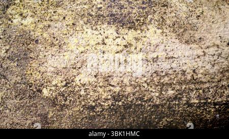 Grungy Concrete Surface with Moss and Dirt Texture Stock Photo