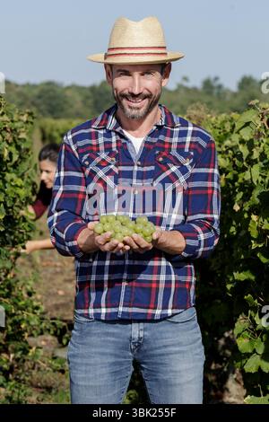 man holding grapes in a vineyard Stock Photo