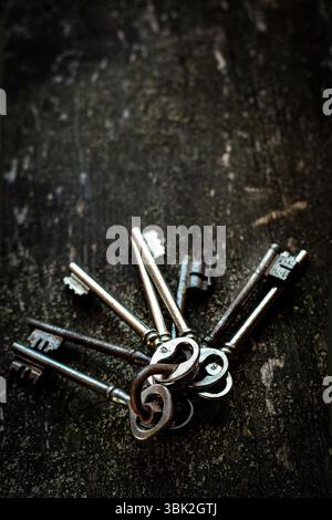 A collection of vintage keys is arranged on a rustic wooden surface. The dark background emphasizes the keys' intricate details Stock Photo