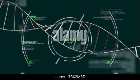 Displaying DNA helix running across teal interface, with holographic reticles and code snippets Stock Photo