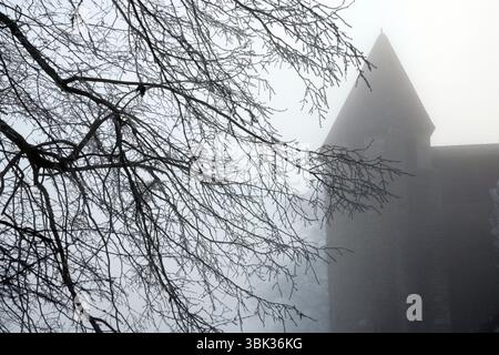 Silhouette of tree branches in winter in fog. Cold weather concept. Stock Photo