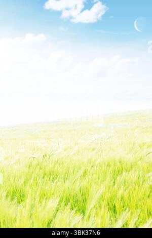 Green grass field is swaying in flat design, with blue sky, clouds, crescent moon, copy space Stock Photo