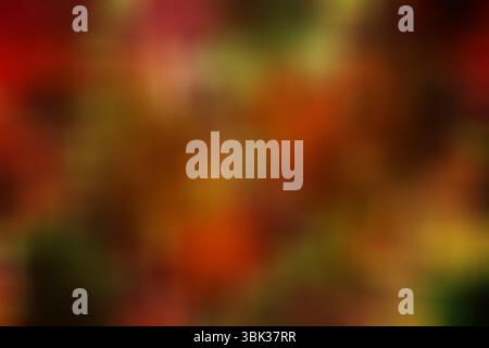 Blurred cluster of colorful shapes is creating painterly impressionist effect in warm abstract art Stock Photo