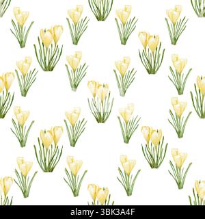 Yellow crocuses and primroses with petals, seamless pattern. Watercolor illustration. Meadow and wildflowers, isolated on a white background. Themes o Stock Photo