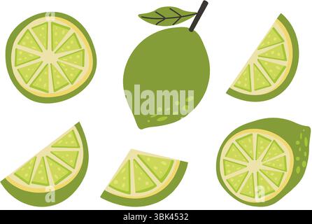 Set of fresh whole and sliced green lime. Citrus design perfect for summer themes, tropical backgrounds, recipe templates, and food packaging. Vector Stock Vector