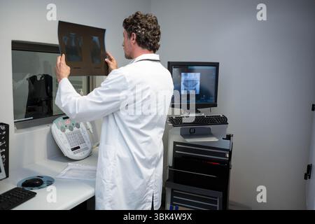 Doctor holding X-ray film strips up to viewing window in imaging room with mobile computer cart Stock Photo