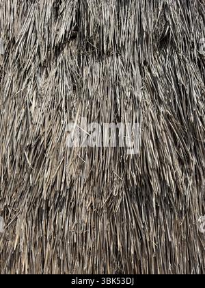 Close-up shot of thatched roof, ideal for abstract background Stock Photo
