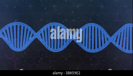 Flowing blue DNA helix weaving across digital biotechnology illustration, with hexagonal grid Stock Photo
