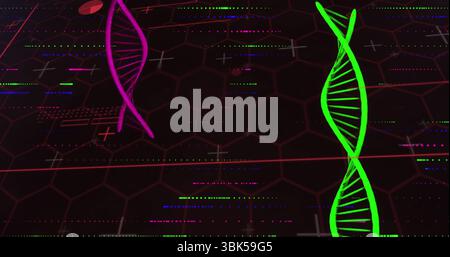 Floating neon green DNA helix hovering above virtual hex grid, with magenta helix and data markers Stock Photo