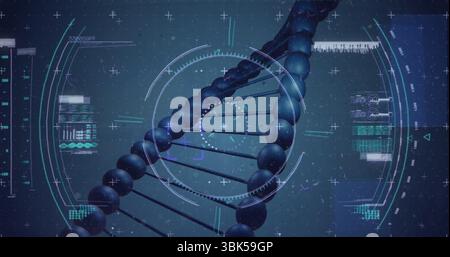 Displaying DNA double helix with rotating circular HUD on digital lab ...