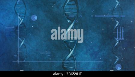 Displaying stylized DNA helix floating in lab visualization, with data icons lines chart bars Stock Photo