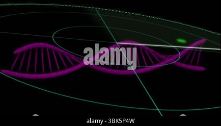Displaying neon purple DNA helix spinning in digital interface, with green arcs and grid lines Stock Photo
