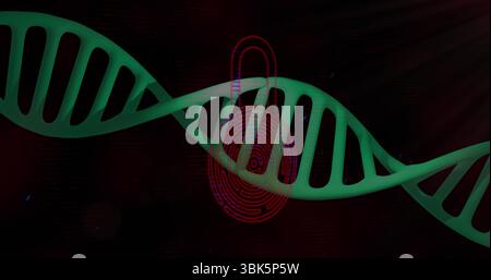 Featuring green DNA helix stretching over dark red, showing red padlock icon with fingerprint Stock Photo